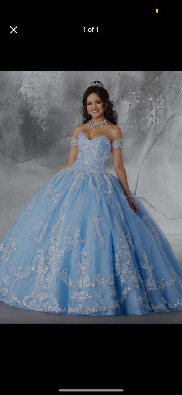 Vizcaya by Mori Lee - 89186 Sequined Motif Tulle Ballgown – ,